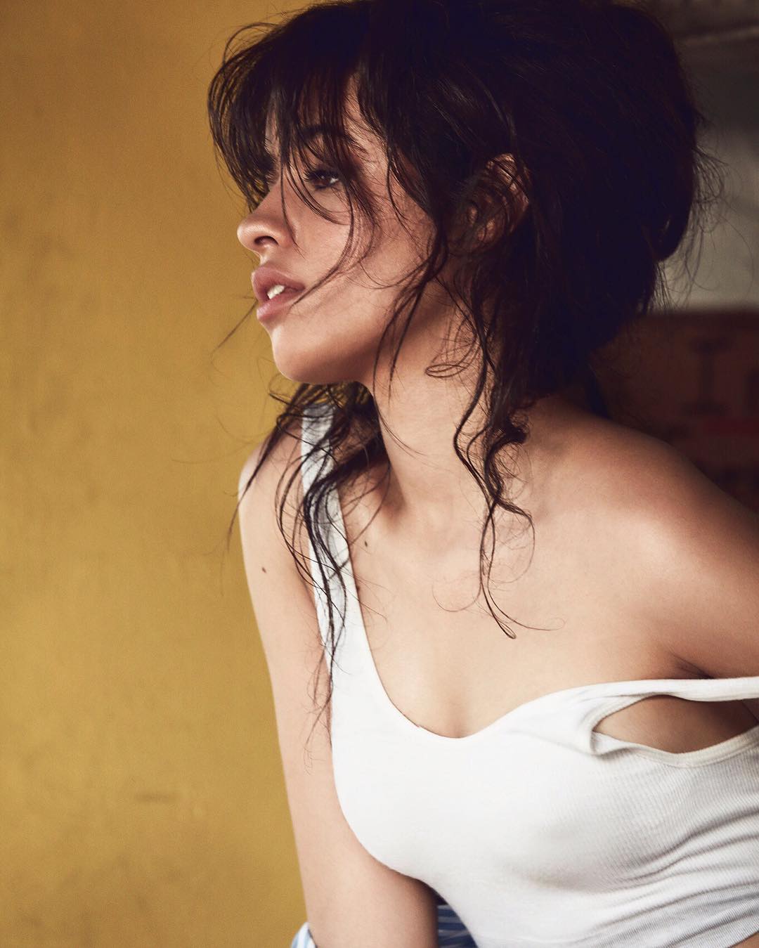 Camila Cabello Se Libera Del Sostén En Instagram 6758