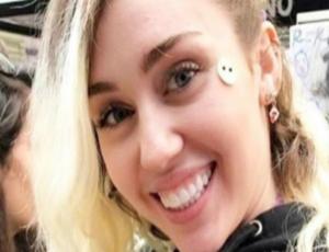La atrevida foto en bikini de Miley Cyrus con la que recibió miles de elogios