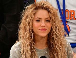 Shakira defiende a fan que violó seguridad para tomarse una selfie con ella