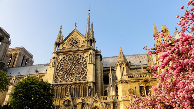 Notre Dame: 3 valores que hacen única a la catedral parisina 
