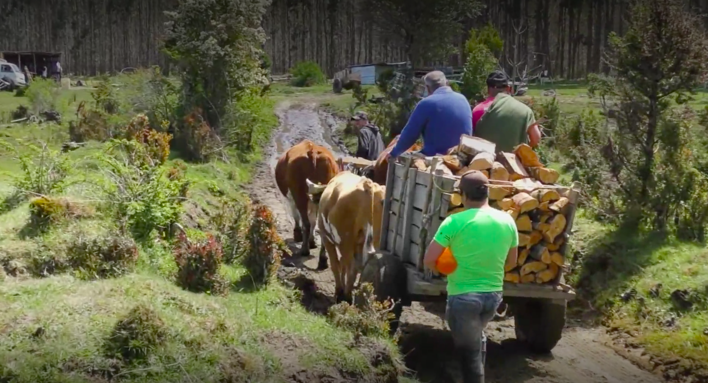 cronicas de la patagonia