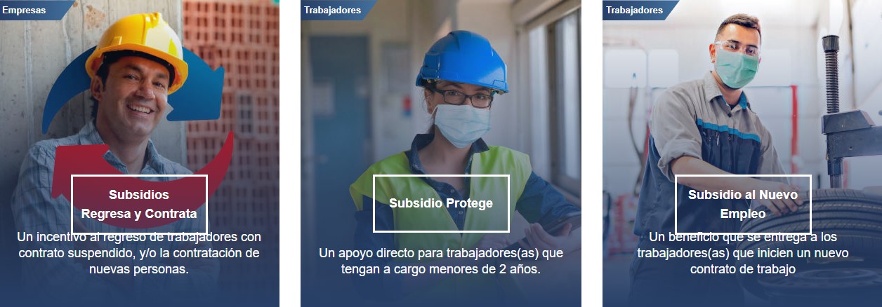 Subsidio Protege