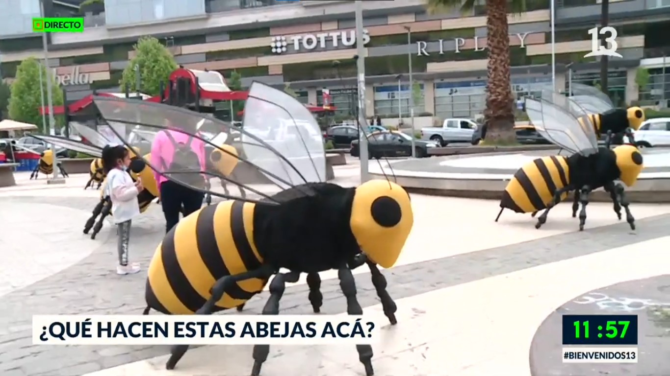 Abejas