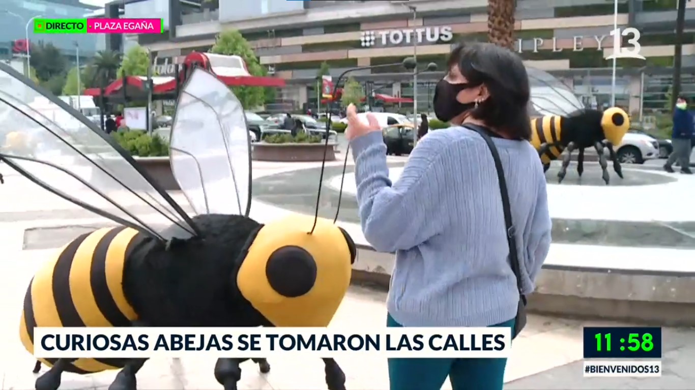 Abejas