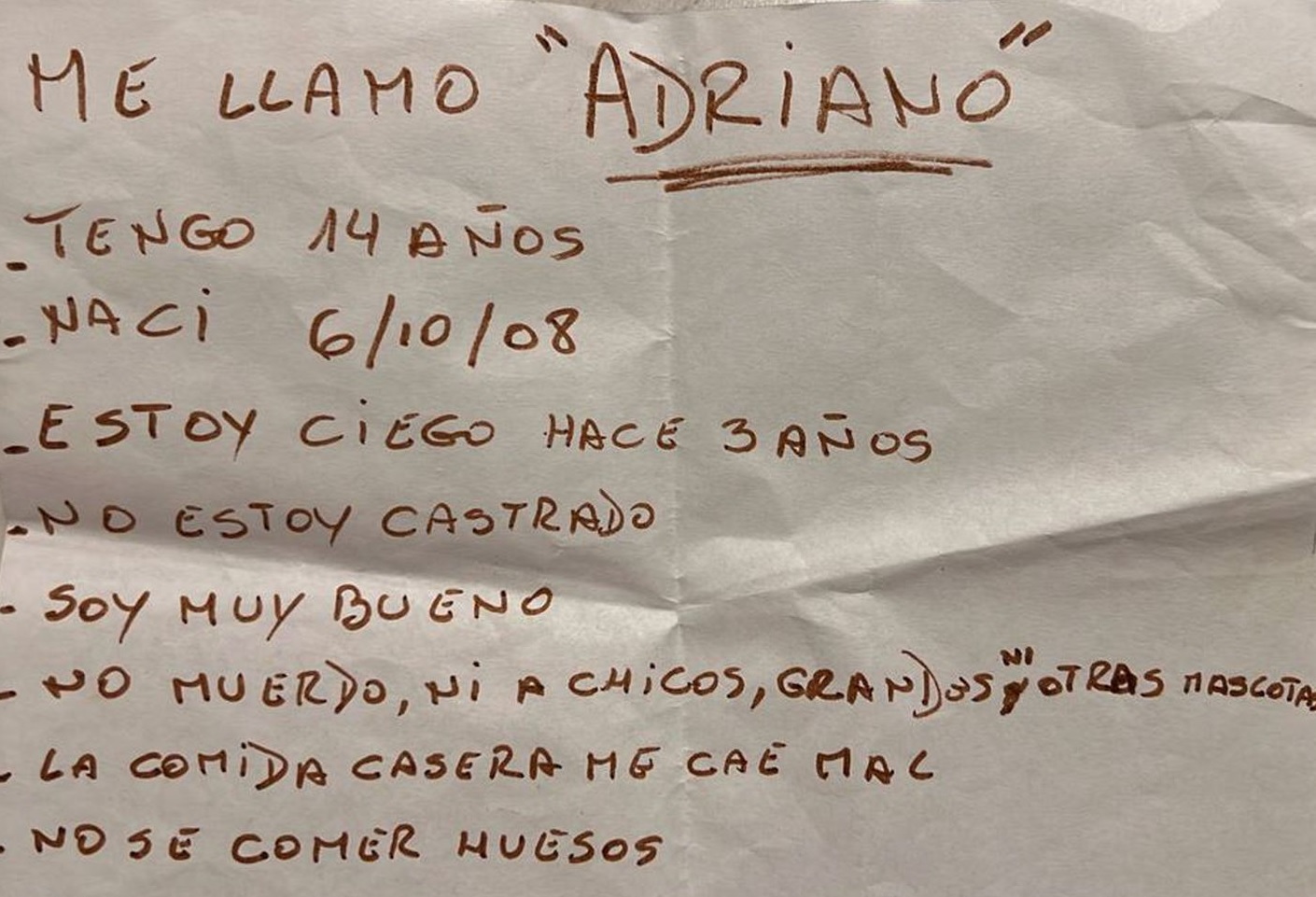 Todo quedó grabado: Joven abandonó a su perrito ciego y dejó una particular carta 