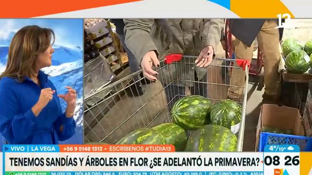 Sandías y árboles en flor en agosto: ¿Se adelantó la primavera?