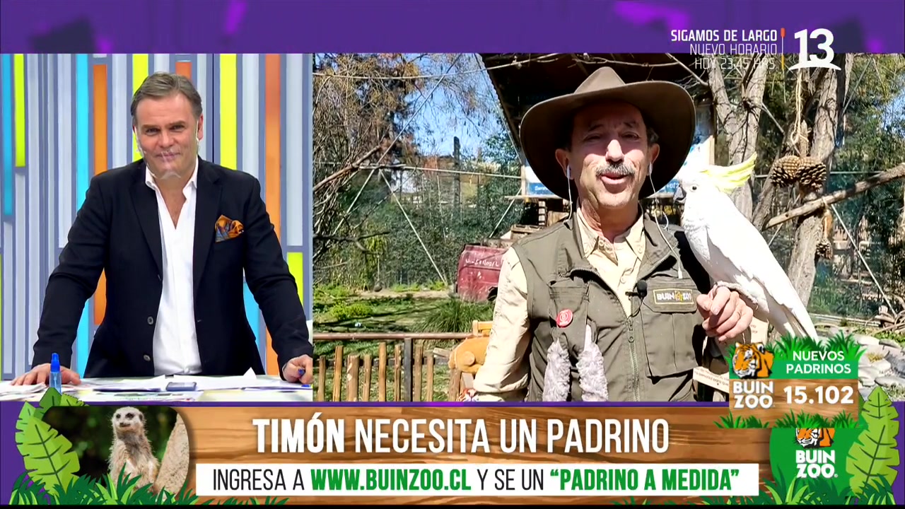Polo Ramirez Conoce A Su Emplumado Doble Del Buin Zoo
