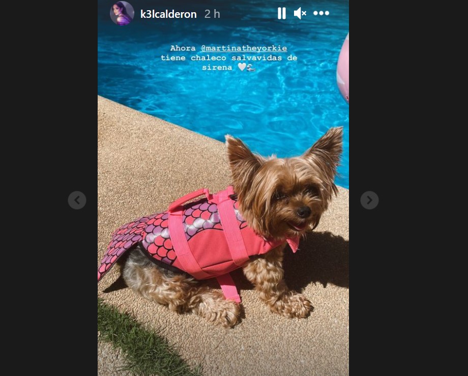 Kel Calderón's dog