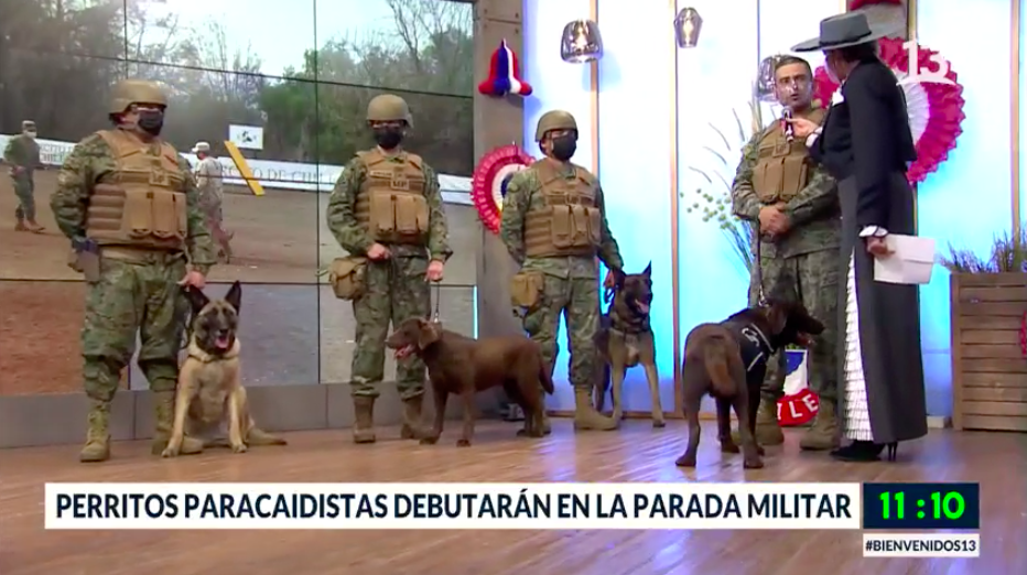 Perritos paracaidistas debutarán en la Parada Militar