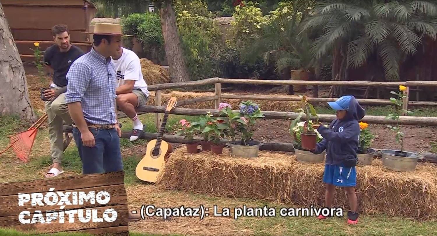 Miguelito elige una planta carnívora