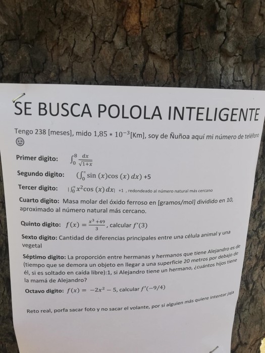 Joven de Ñuñoa busca “polola inteligente” con reto matemático