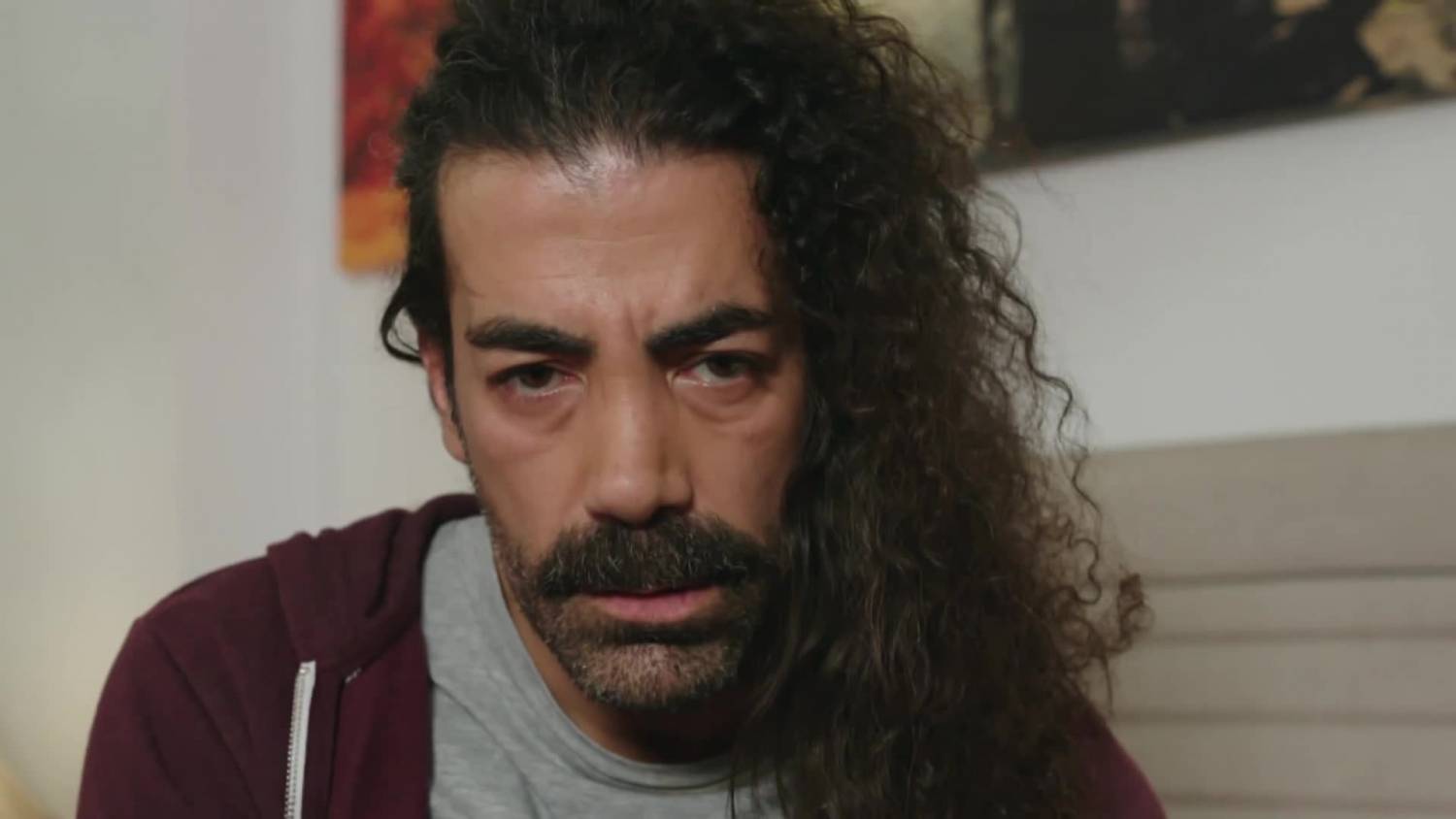 sibel canın hayatı