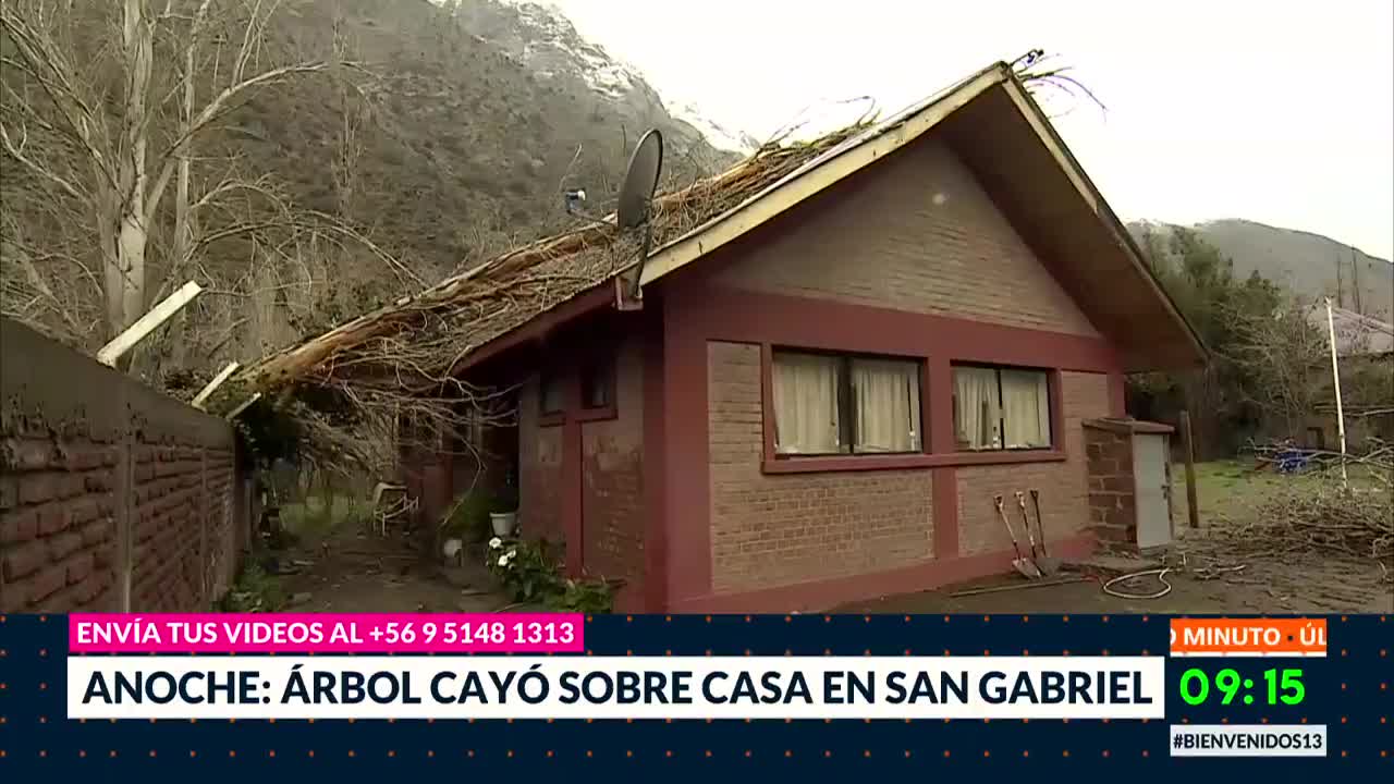 Árbol cae sobre casa en Cajón del Maipo