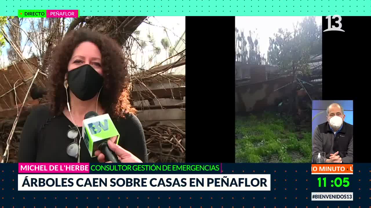 Vecina de Peñaflor denuncia caída de árbol por lluvias