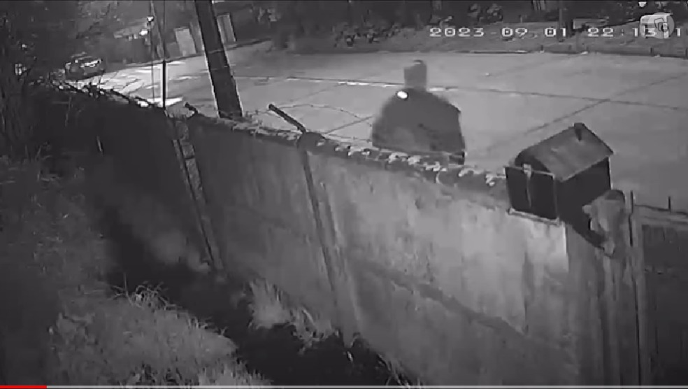 Pantallazo del video, sujeto en la calle al lado de una muralla