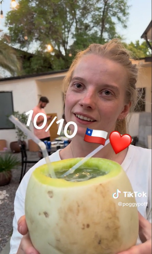 Tiktokers noruegos se enamoraron del melón con vino: "Le doy un 10" 