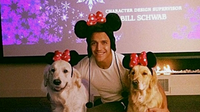 conoce a los perritos de los famosos! | 13.cl