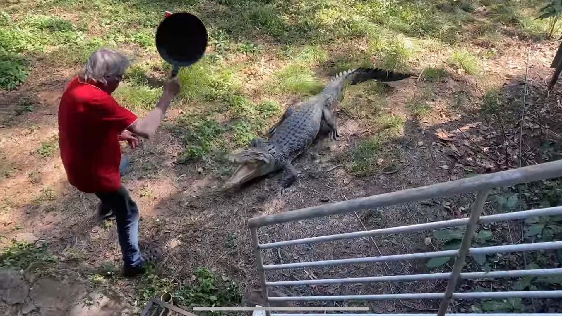 Hombre enfrentó a un cocodrilo con una sartén (y ganó)