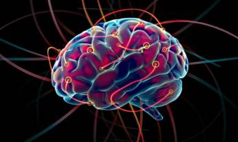 Cerebro podría ser rejuvenecido 