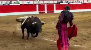 Brutal: Video captó momento en el que toro de 500 kilos atacó a dos toreros en España