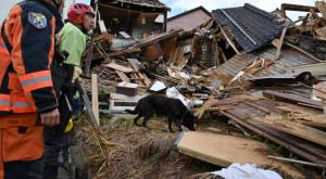 ¡Increíble! Perrita rescató a anciana atrapada en escombros tras terremotos de Japón