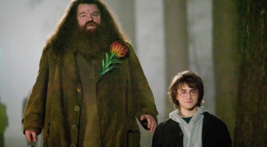 Daniel Radcliffe se despide de Hagrid