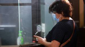 Bono de Reconocimiento: estas son las personas que reciben la ayuda estatal