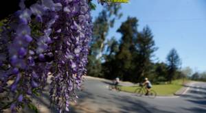 Conoce aquí el día y hora exacta del inicio de la Primavera