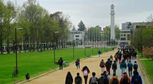 Educación superior: estas son las 20 carreras con más matriculados en 2021
