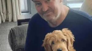 Alfred, el perrito de Matthew Perry que llora su muerte: ¿Quién lo adoptará?