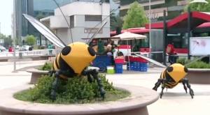 ¿Por qué 19 abejas aparecieron sorpresivamente en Plaza Egaña?