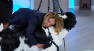 Dra. Polo resolvió caso de mujer que quería ser enterrada junto a su perro