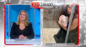 Mujer llegó a Caso Cerrado asegurando que su hija reencarnó en un cerdo