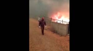Se evacuó hogar de ancianos en Tomé por rápido avance del fuego 