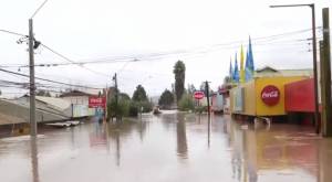 Licantén bajo el agua: las dramáticas imágenes de las casas totalmente inundadas