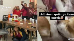 Joven se metió debajo de la mesa en Año nuevo para encontrar el amor, pero la cábala le terminó resultando a su perrito 