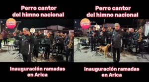 Perrito "entonó" himno de Chile en inauguración de fondas en Arica