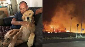 Hombre falleció intentando proteger a su perro durante incendios en Hawái