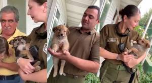 Cachorros rescatados de incendios por Carabineros fueron adoptados: Uno quedará en la institución