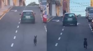 Inaceptable: Graban a perro corriendo tras el auto de su dueña que lo abandonó