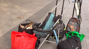Duro testimonio de una mujer que vive en la calle junto a sus 4 hijos