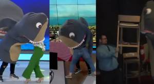 ¡Cuidado! Tiburón casi devora a todo el equipo de "Tu día"