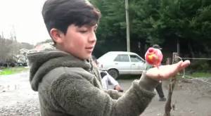 Yohan