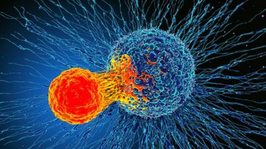 Estas son ocho cosas que deberías saber sobre el cáncer