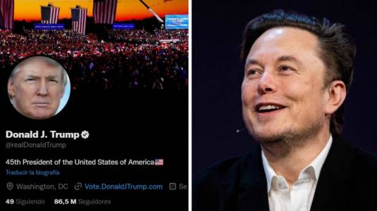 Cuenta de Trumo y Elon Musk