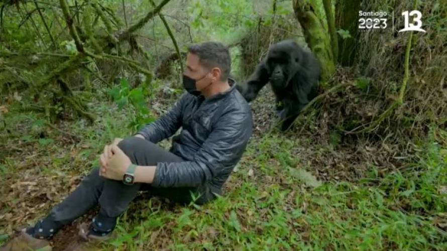 Pancho Saavedra casi es raptado por un gorila